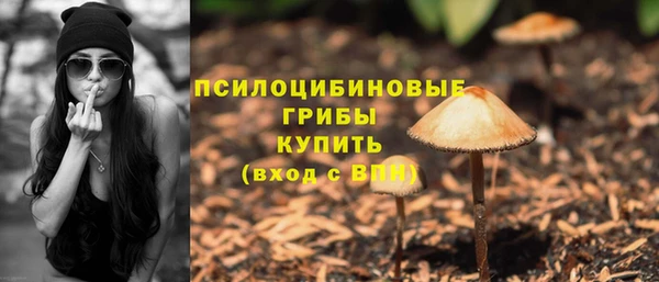 трава Алзамай