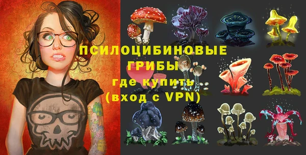 синтетический гашиш Алексеевка