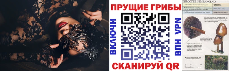 Псилоцибиновые грибы мицелий  блэк спрут как зайти  Томск 