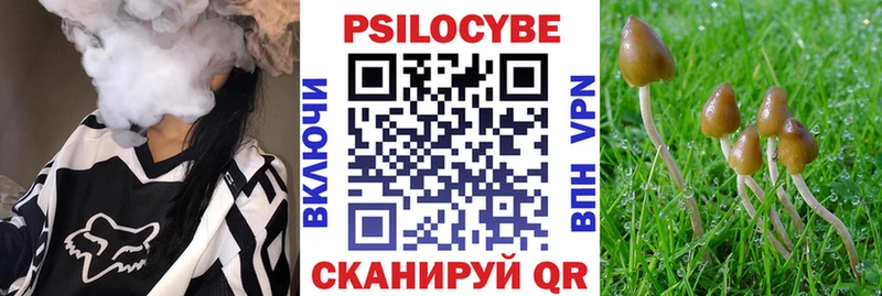 Галлюциногенные грибы Psilocybine cubensis Томск